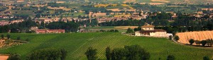 azienda-adanti