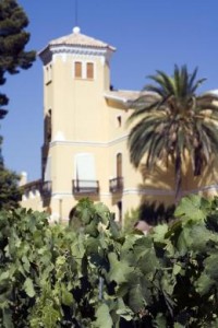 Bodega El Angosto