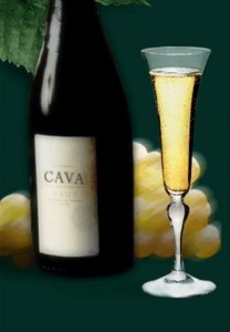 Cava
