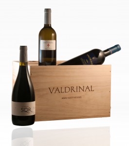 Vinos premiados de Great Wines From Spain 