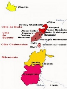 bourgogne1 AOC Bourgogne
