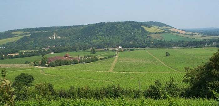 campina-inglesa