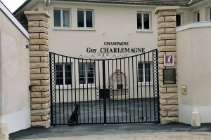 champagne-guy-charlemagne Champagne Guy Charlemagne