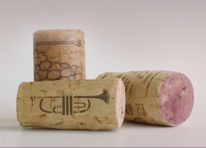 Ciclo ViNits in concert