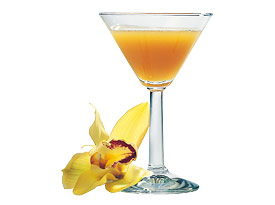 cocktail-paradise Cocktail Paradise