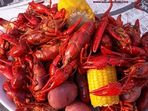 crawfish-boil