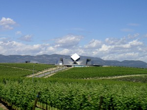 do-somontano