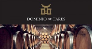 Bodegas Dominio de Tares