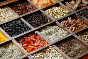 Elementos Botanicos usados en la elaboración de la Ginebra