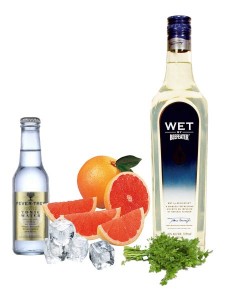 Gin Tonic perfeto de beefeater Wet Gin