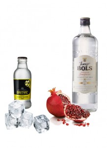 Gin Tonic perfecto de Bols Jonge Genever