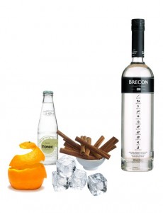 Gin Tonic perfecto de Brecon Gin