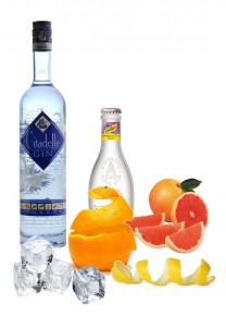 Gin Tonic Perfecto de Citallelle Gin v.2