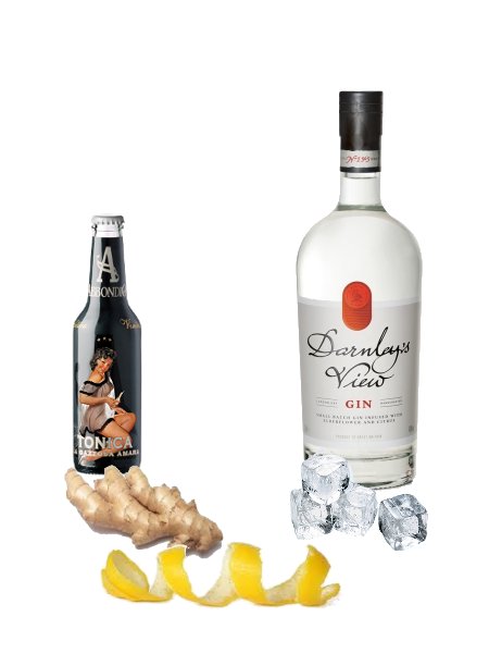 gin-tonic-perfecto-darnleys-view-gin Gin Tonic perfecto de Darnley's View Gin