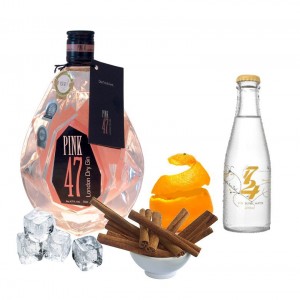 Gin Tonic perfecto de Pink 47 Gin