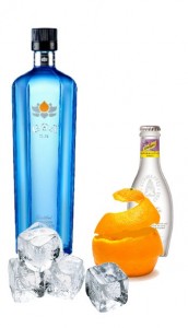Gin Tonic perfecto de Goa Gin