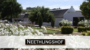Bodegas Neethlingshof