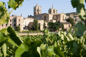 olivera-cooperativa L’Olivera Cooperativa
