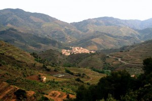 porrera