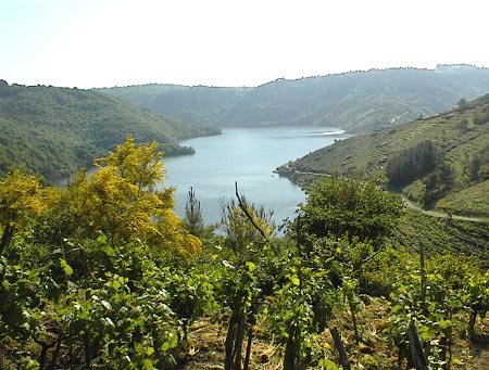 ribeira-sacra
