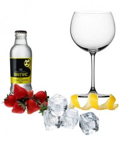 Sin Tonic perfecto de Tónica Britvic