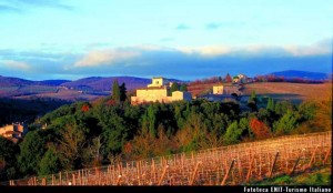 Viñedos en la Toscana