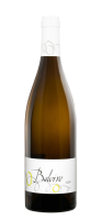 Baloiro