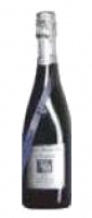 Torrens Moliner Gran Reserva d'Argent Brut Nature