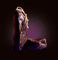 Jam�n Paquito vino
